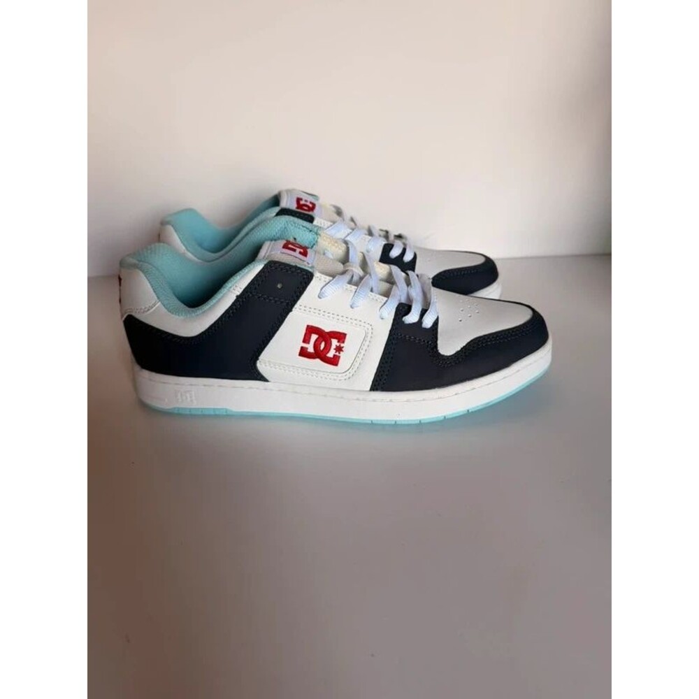 DC men’s shoes